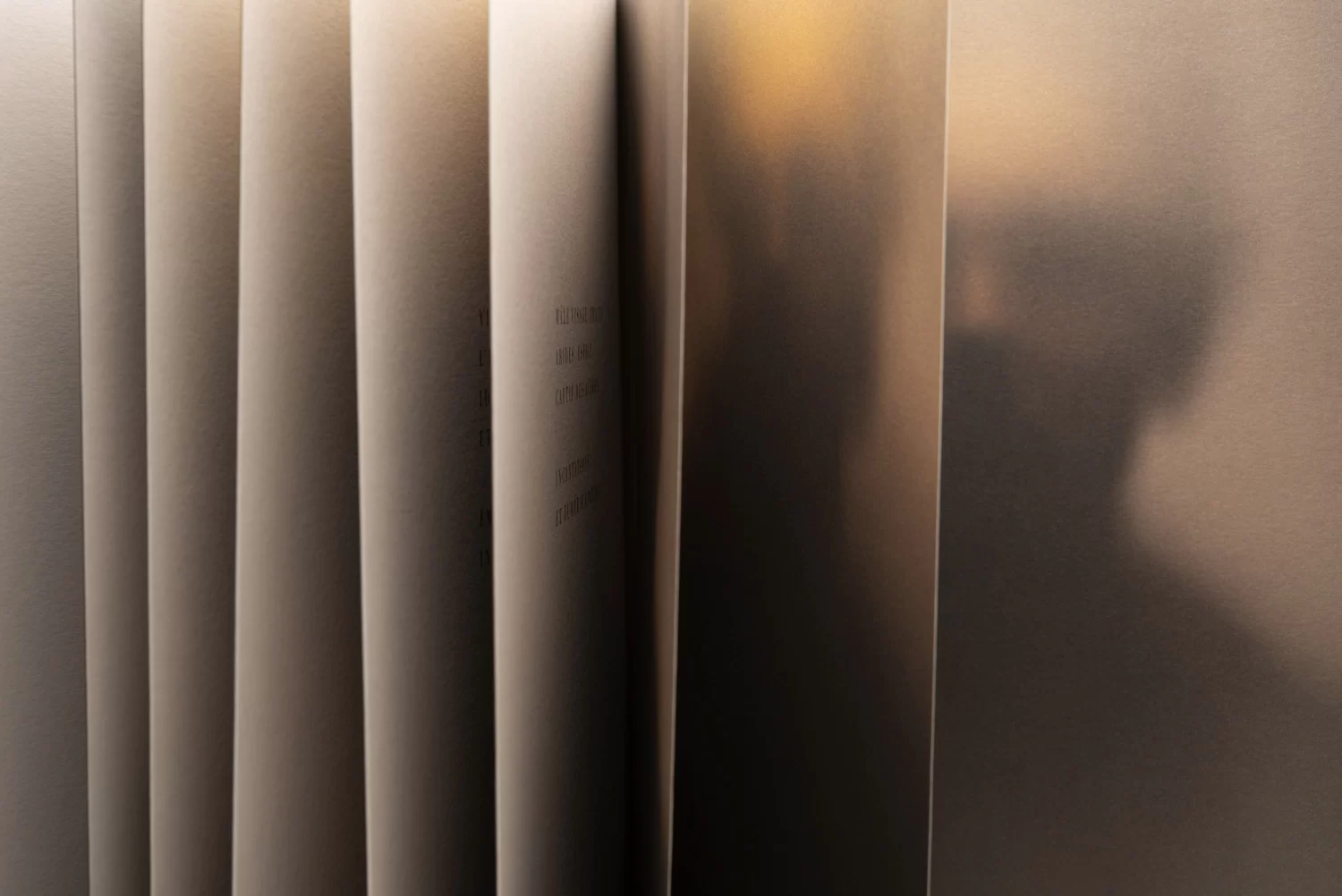ACETATE Noir Editions