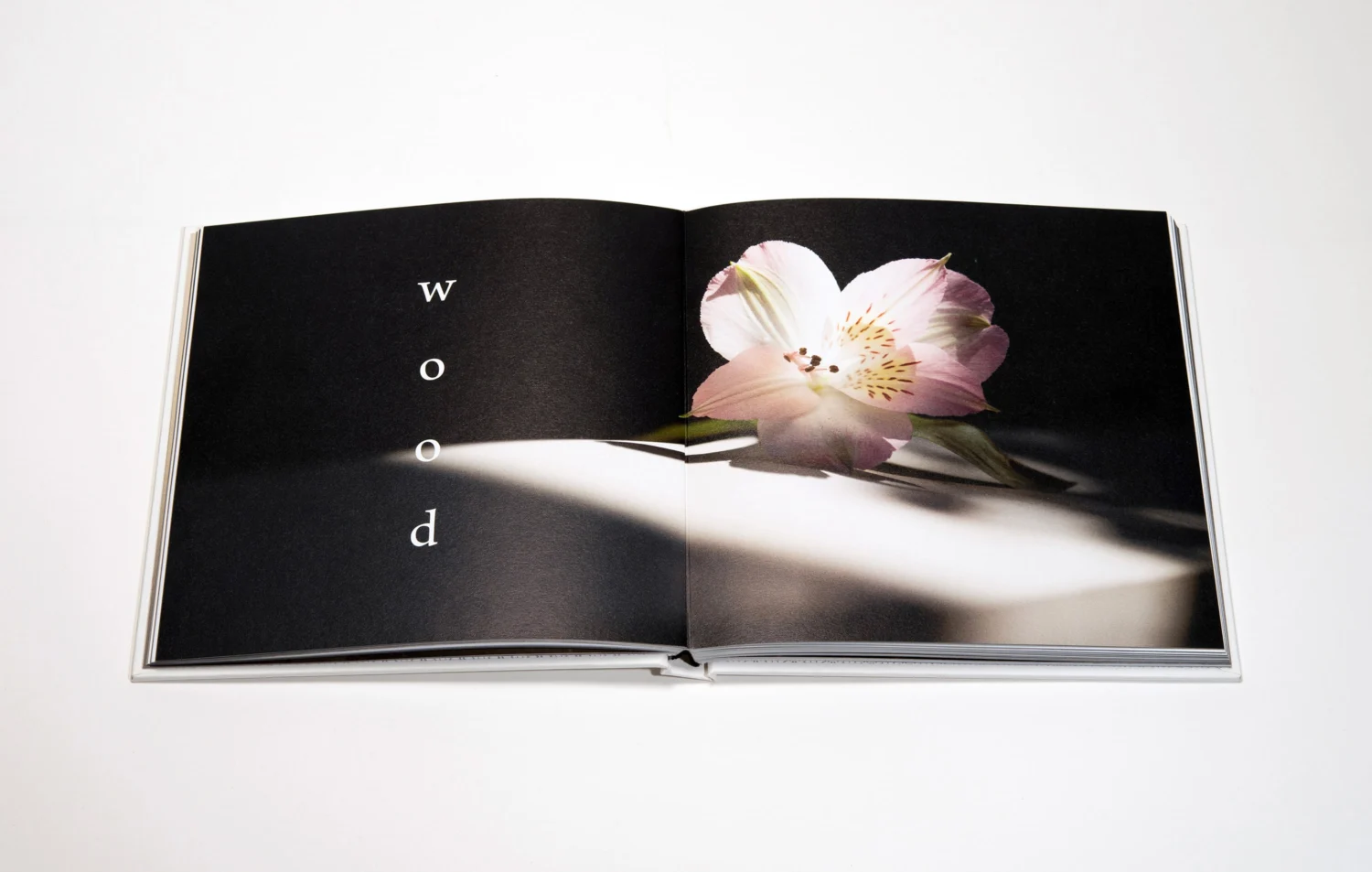 harmonist philosophy Noir Editions