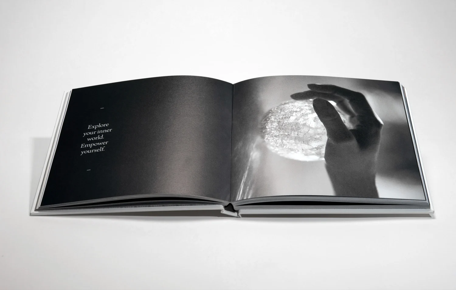 harmonist philosophy Noir Editions