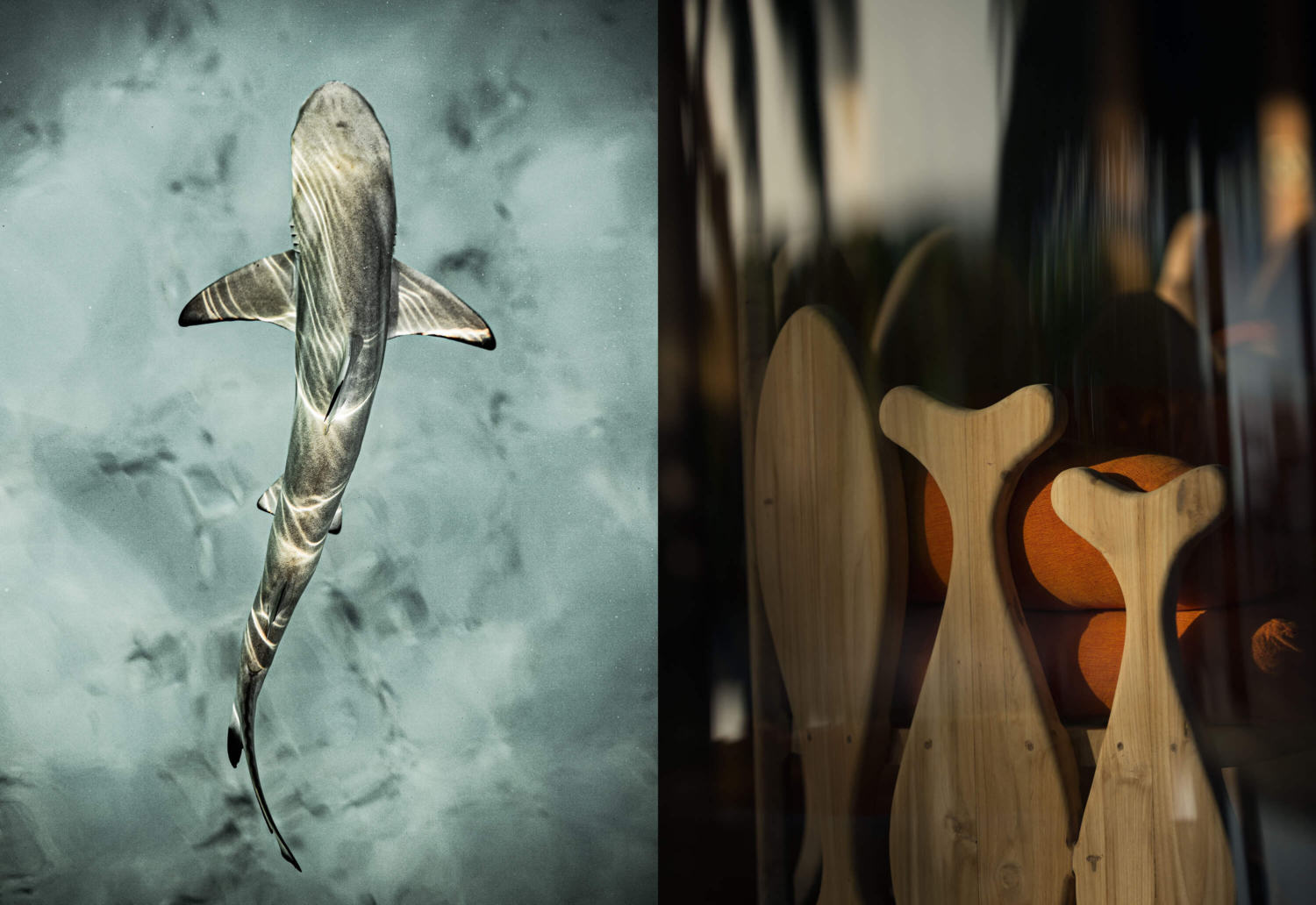 soneva villas Noir Editions